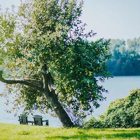 Campingplads Kempings Kalnavoti